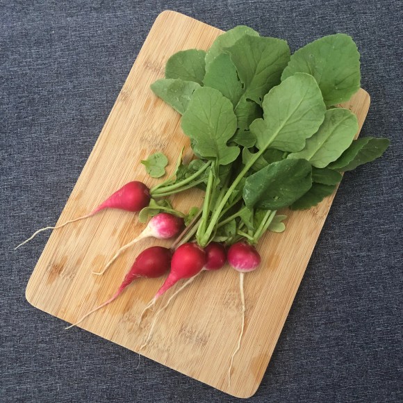 radishes