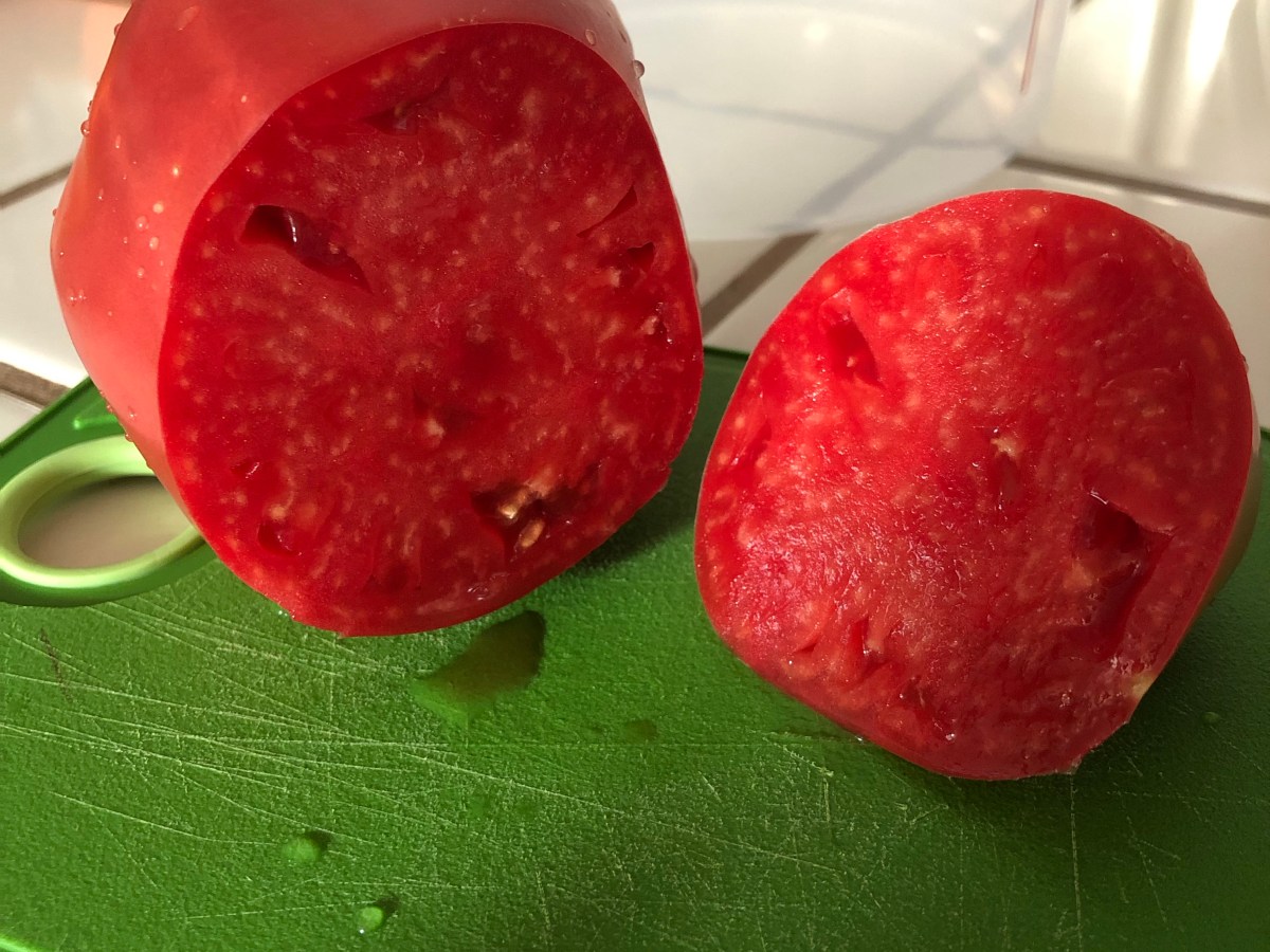 New Zealand Tomatoes